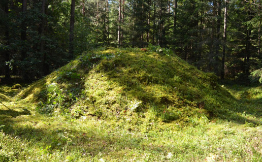 14_Didžiulių pilkapynas (2).jpg